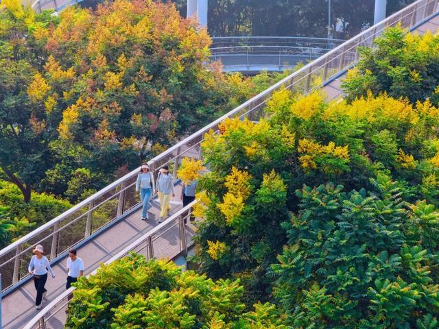 山海健康步道 代岩摄