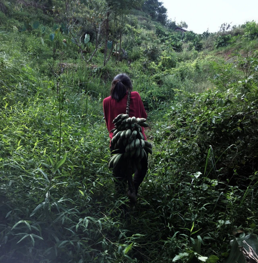 缪睫背着很重的芭蕉上山 | 受访者供图