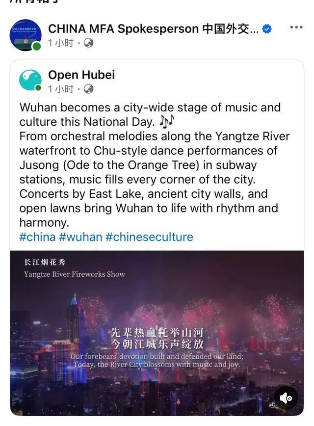 视频说明截图。