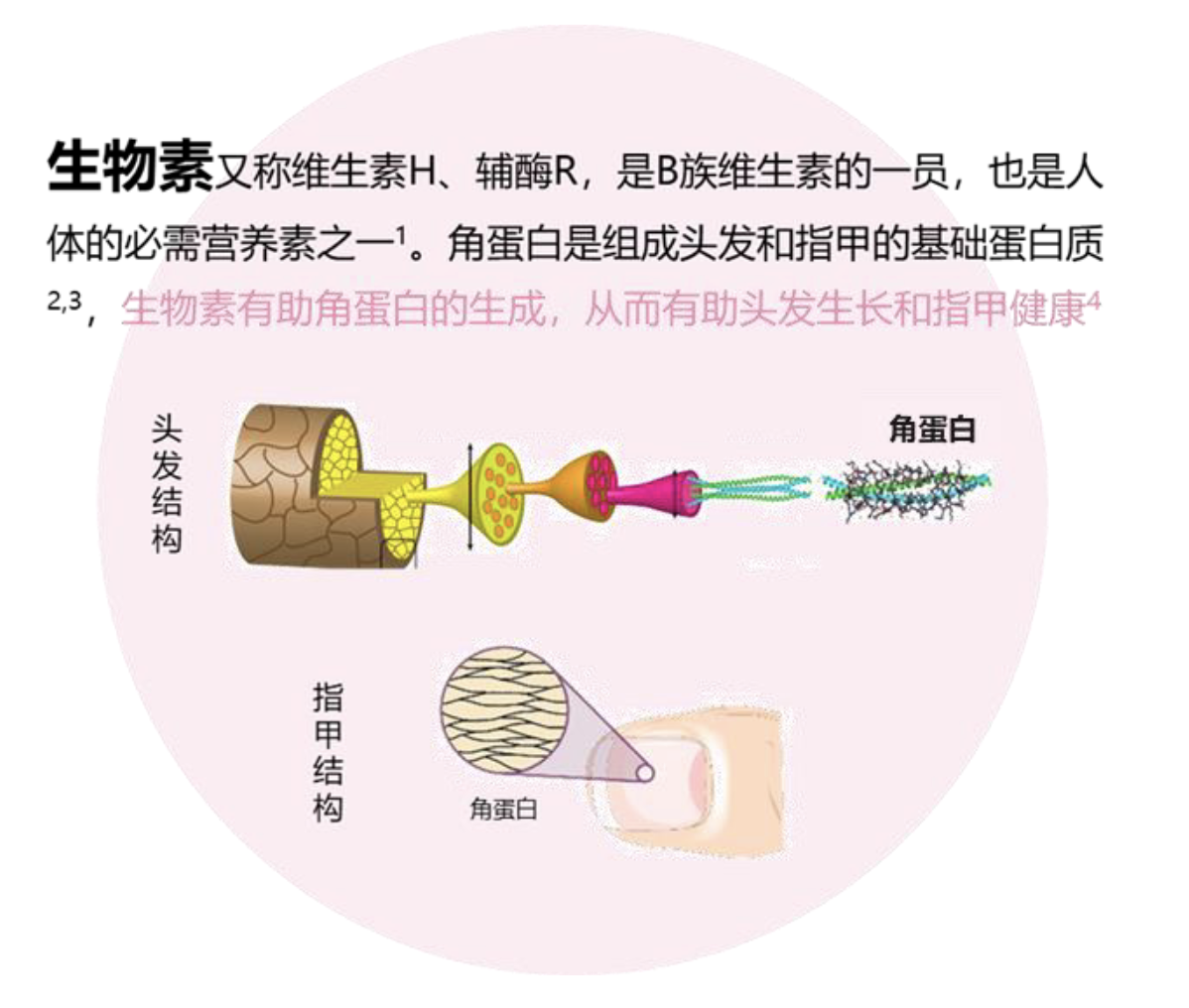 腾讯文档图片