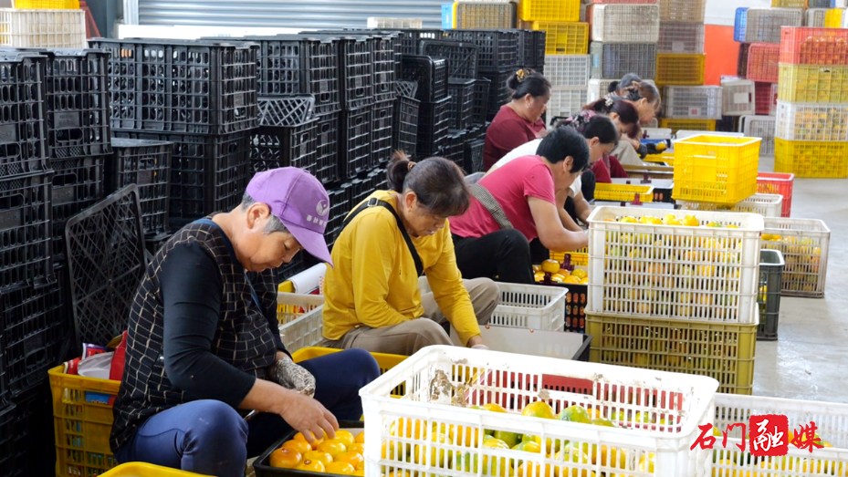 盘活闲置沉睡资产 拓宽乡村富民增收路5.png