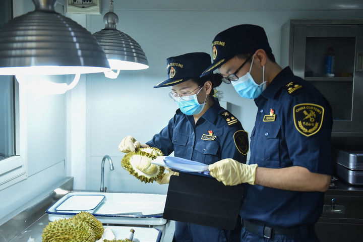 2024年6月21日，海关关员在成都航空口岸进口水果检疫区查验榴莲。新华社发（邓茗芳 摄）