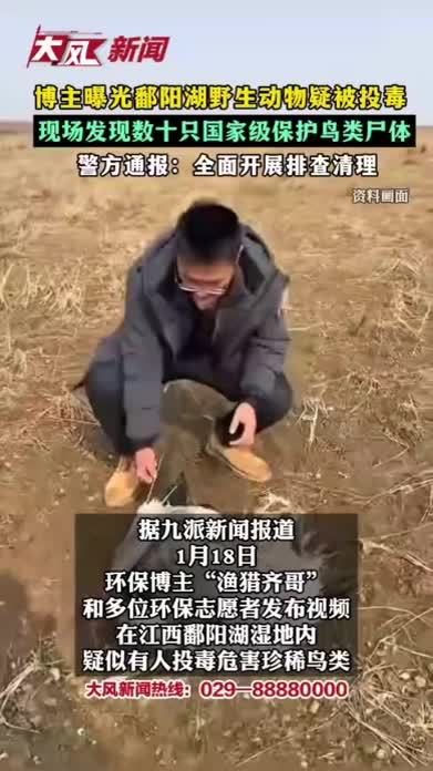 博主曝光鄱阳湖野生动物疑被投毒，现场发现数10只国家级保护鸟类尸体，警方通报