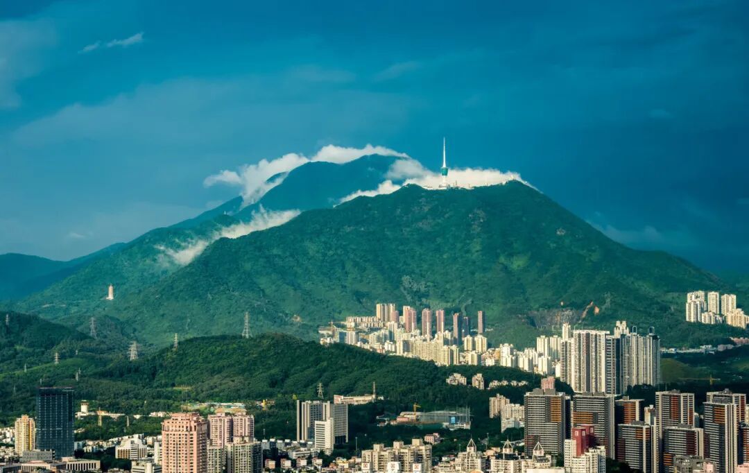 摄图网_500715382_深圳梧桐山(企业商用) (3).jpg