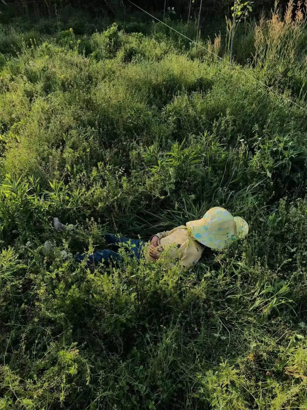 缪睫的女儿小碗 | 受访者供图