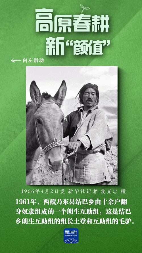 高原春耕新“颜值”