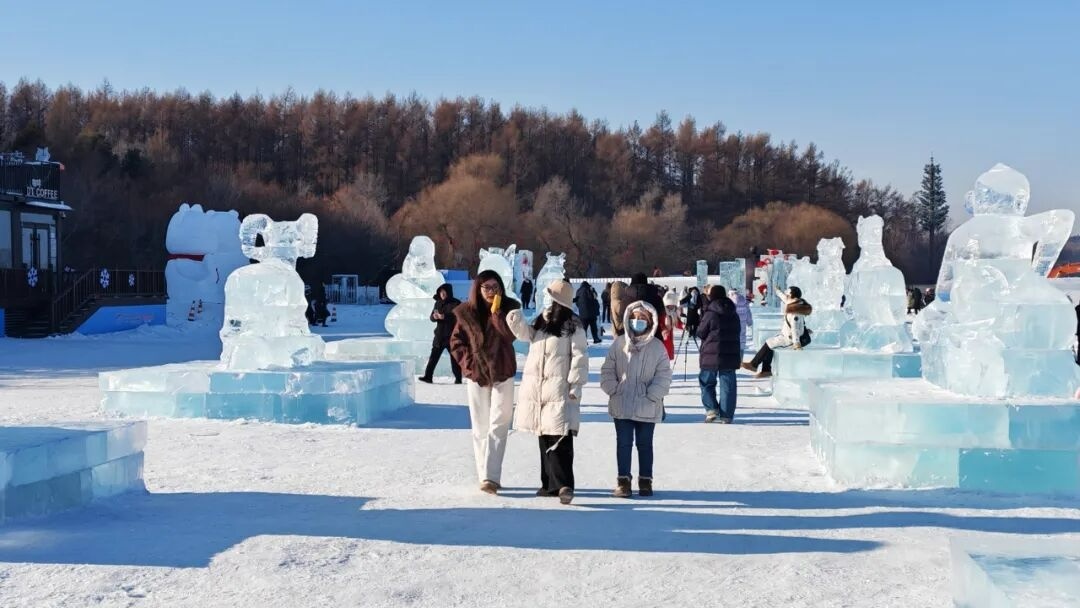 长春净月潭“雪世界”景区内的雪雕冰雕(央广网发 张扬 摄)