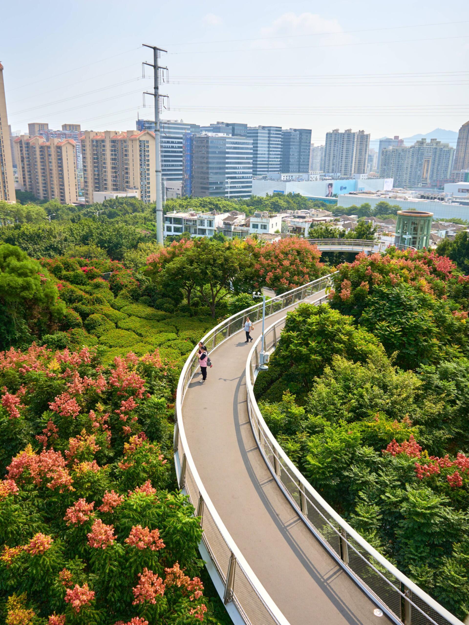 #厦门人嘴也太严啦#！原来大家都悄悄跑到半空中赏秋🍂。哪怕气温依旧