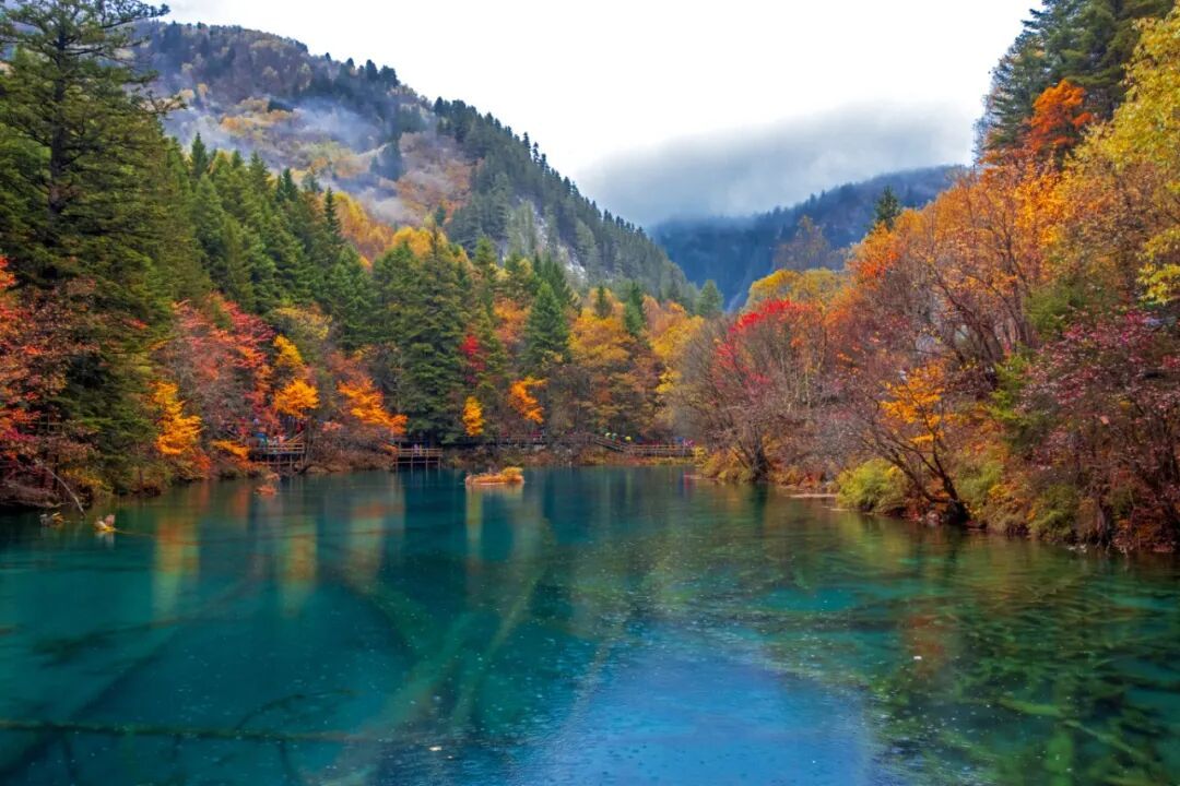 摄图网_701791913_九寨沟秋季澄澈湖水彩林倒_(企业商用).jpg