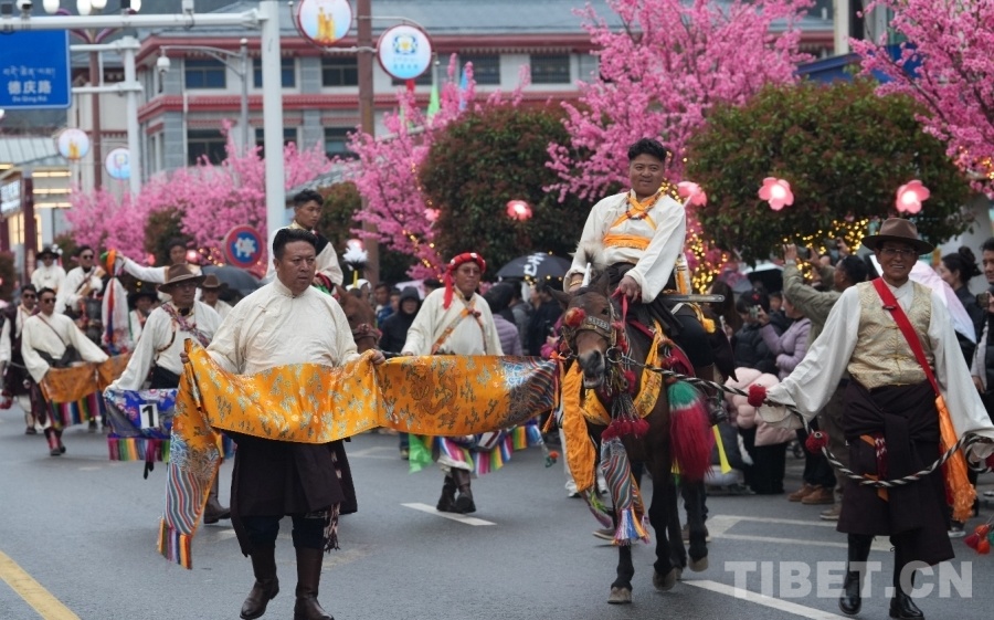 “春染桃林 非遗焕彩”民俗文化巡街展演活动现场 摄影：次旦拉姆