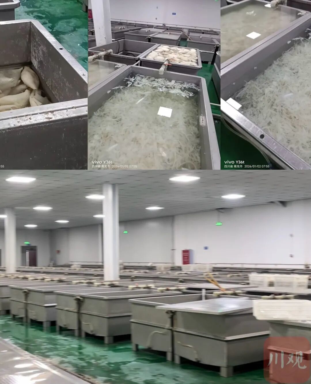 上图为媒体此前拍摄照片,下图为川观新闻记者实地探访。