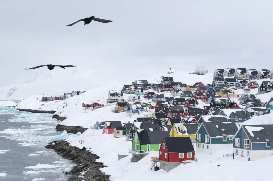 ▲海鸥飞越格陵兰岛努克古城。（图源：路透社）