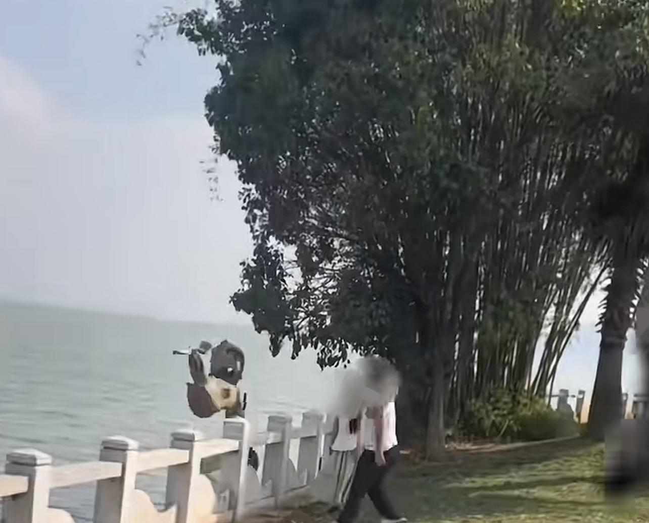 ▲网友发视频称,有人往水里扔电动车 视频截图