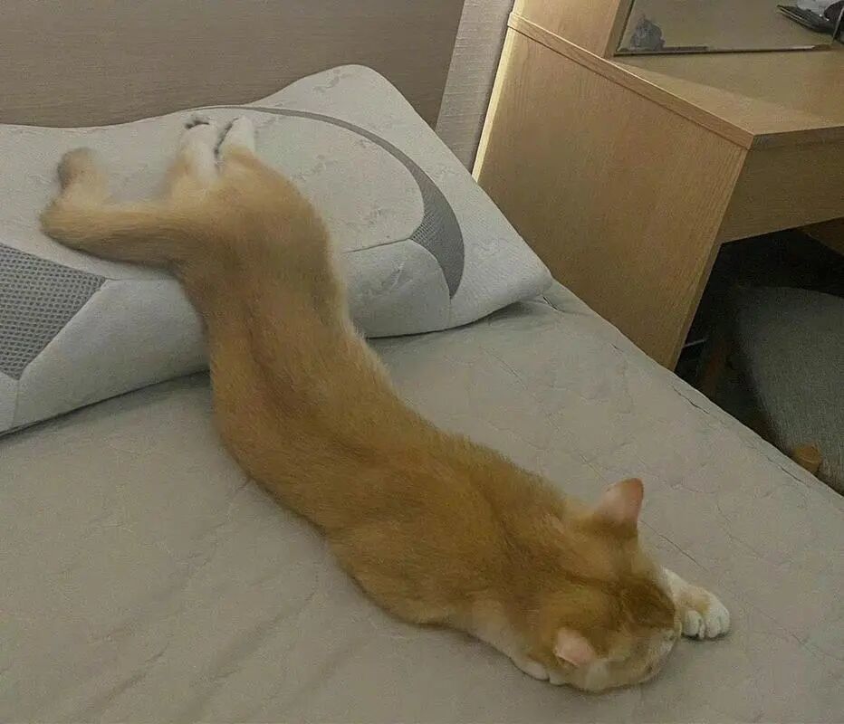 纵享丝滑