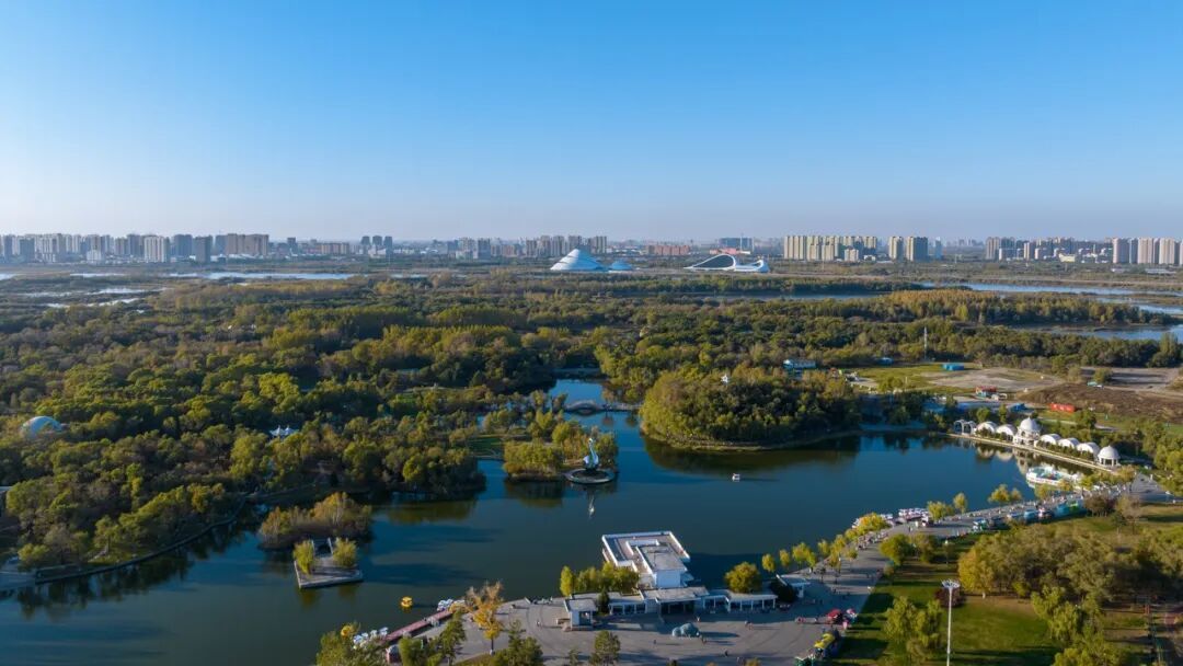图虫创意-1638201552924180491.jpeg