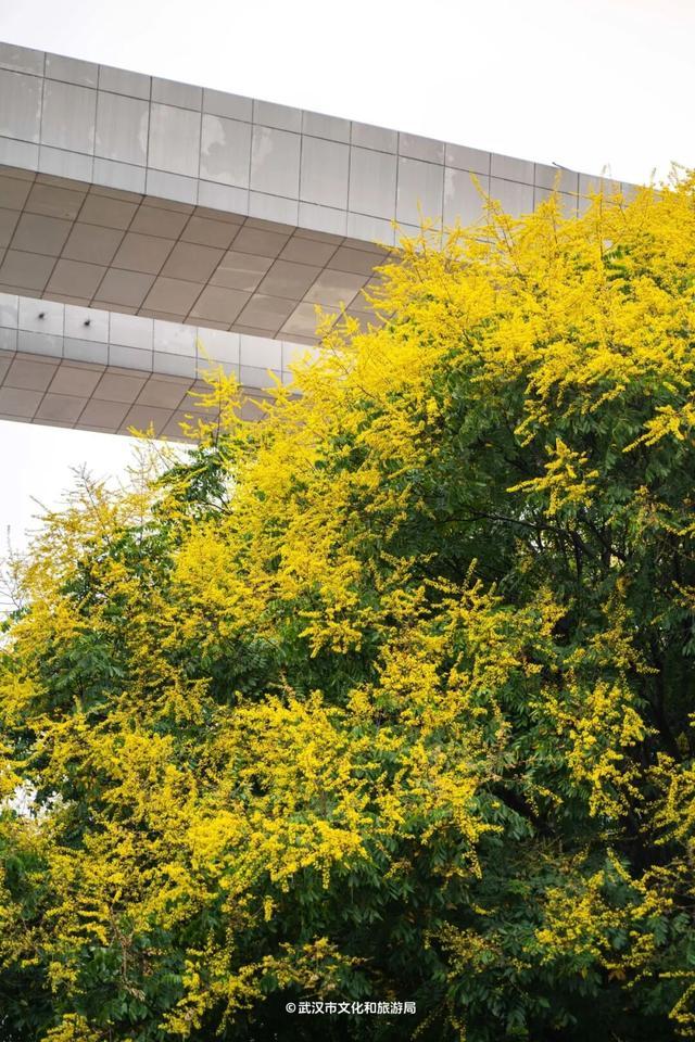 马场角天桥（拍摄于2026年9月15日）