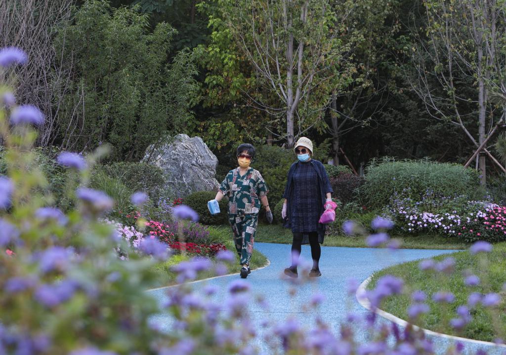 市民在沈阳市和平区文体西路一处“口袋公园”内散步。（资料图片）新华社记者王乙杰 摄