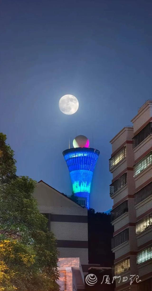 厦门日报拍客 杨忠芹 摄