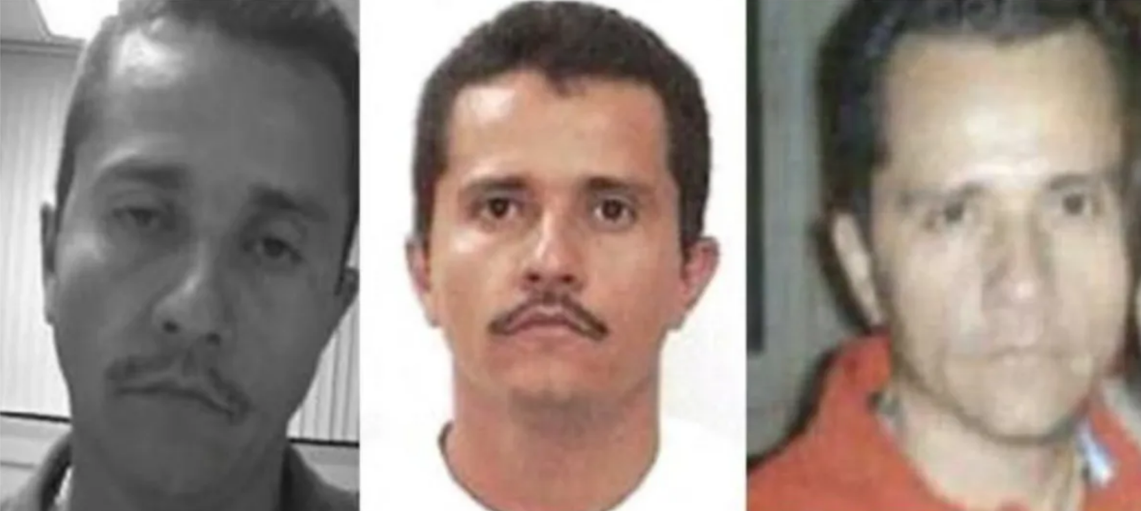 ▲美国国务院发布的内梅西奥不同时期照片