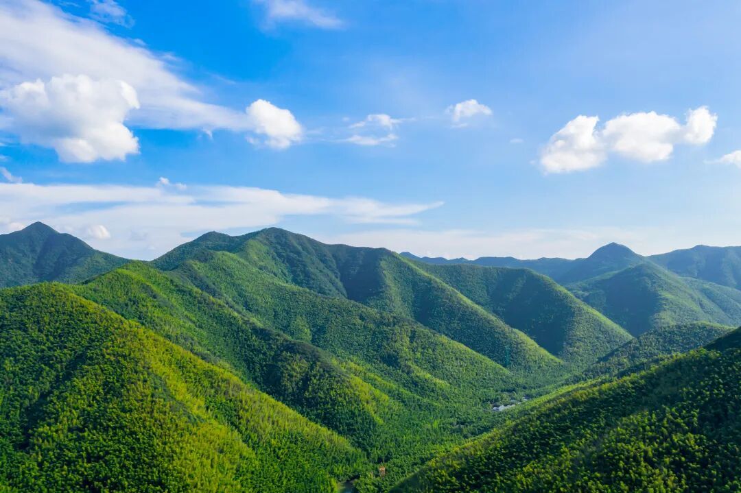 摄图网_501783287_5A风景区天目湖南山竹海_(企业商用).jpg