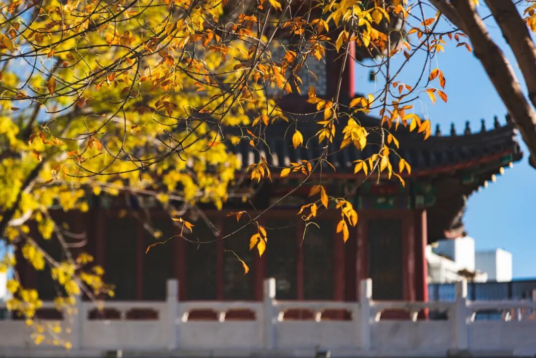 图虫创意-573883677501817088.jpeg