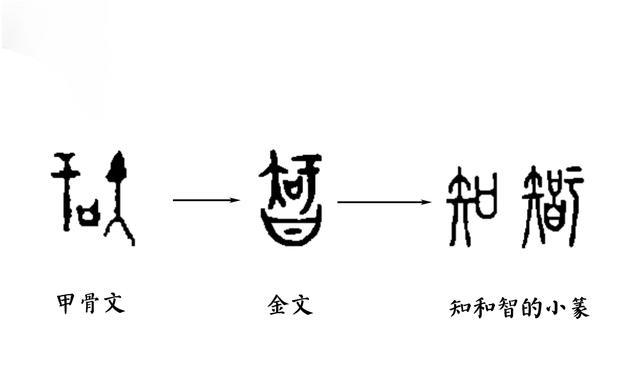 知的字形演变