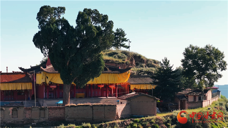 千年圆柏矗立古寺