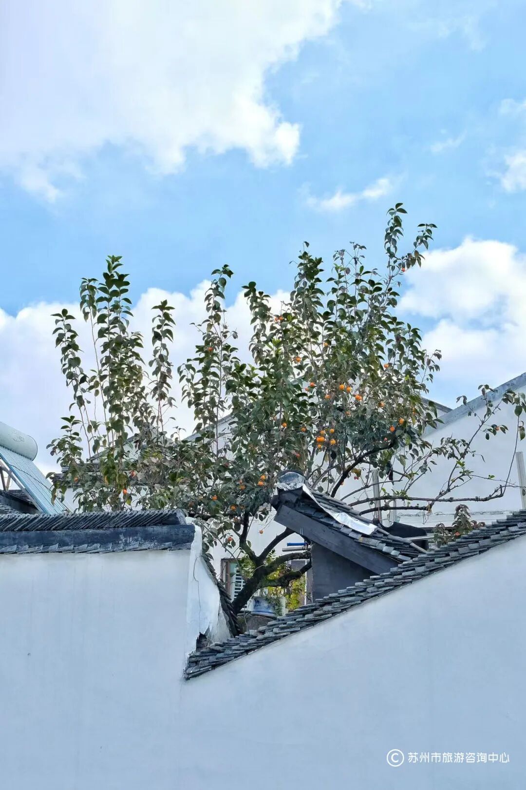 微信图片_20251031114731_1693_18.jpg