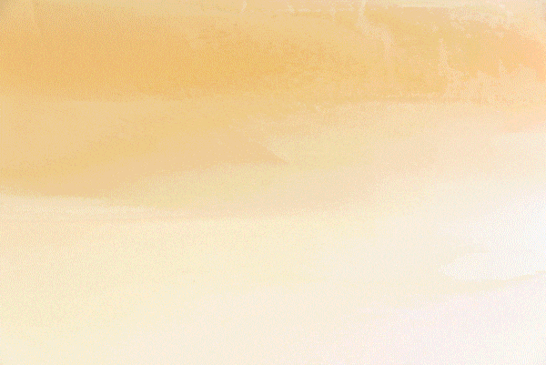 ���ֿ�ζ���ϸ���