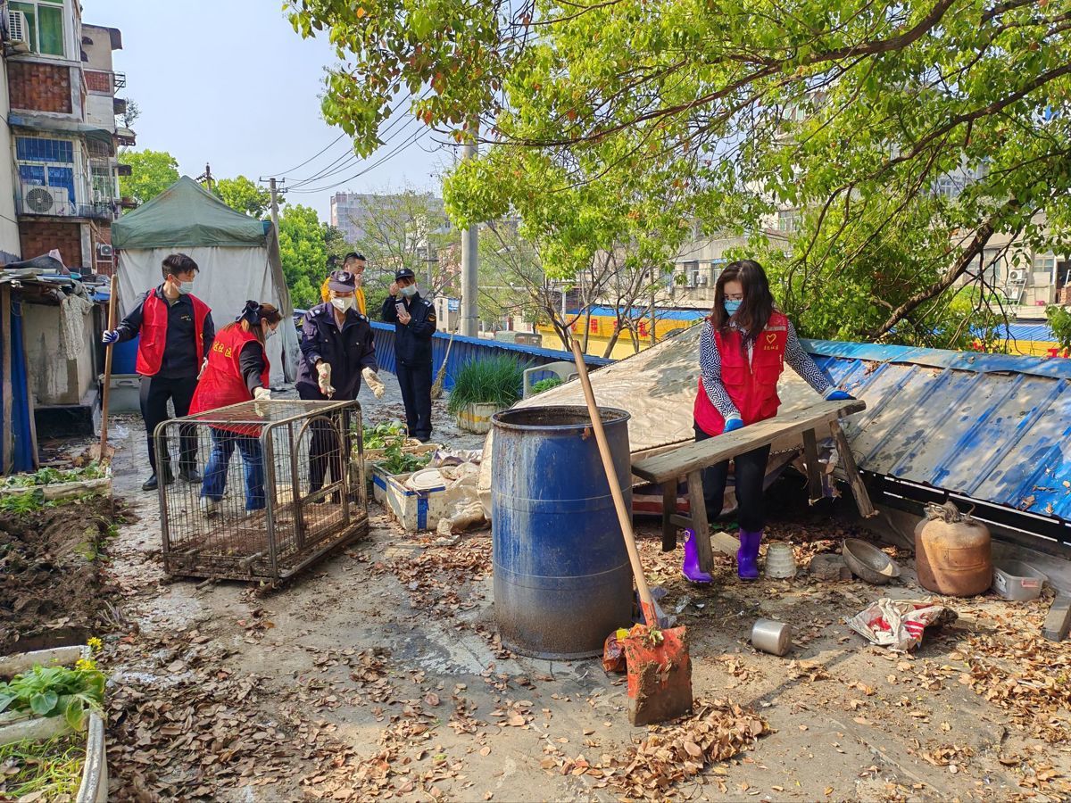 楼顶菜地清理中3.jpg