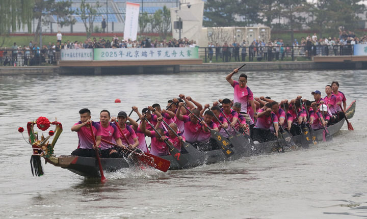 2025年北京端午节龙舟大赛现场(主办方供图)