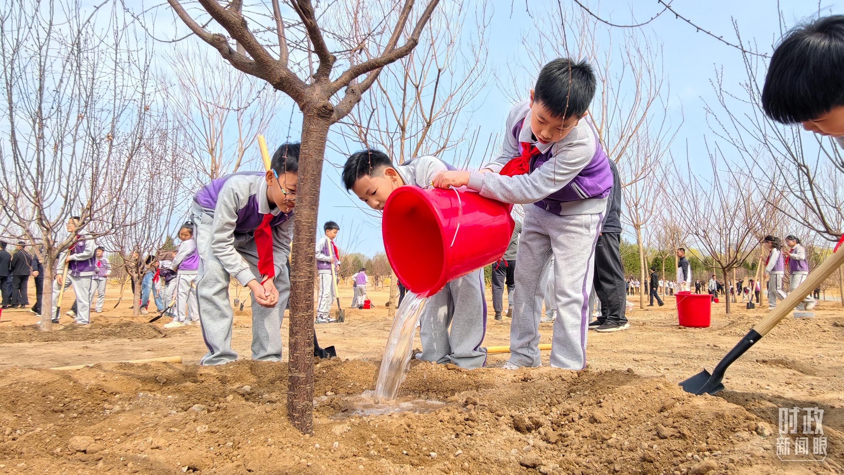 △正在植树的少年儿童。（总台央视记者王策拍摄）