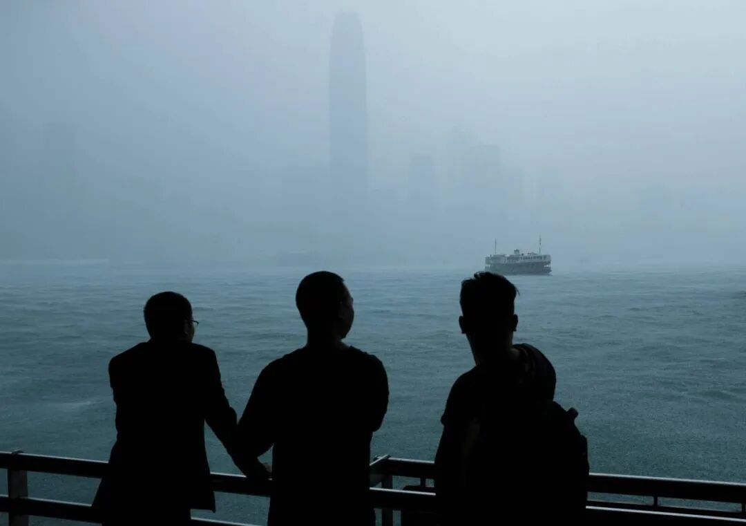 为什么人人都在追白海豚?