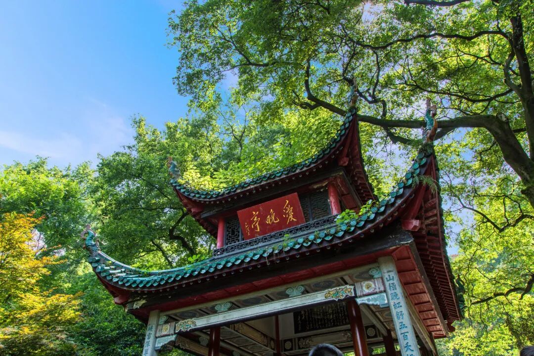 摄图网_501334925_爱晚亭_(企业商用).jpg