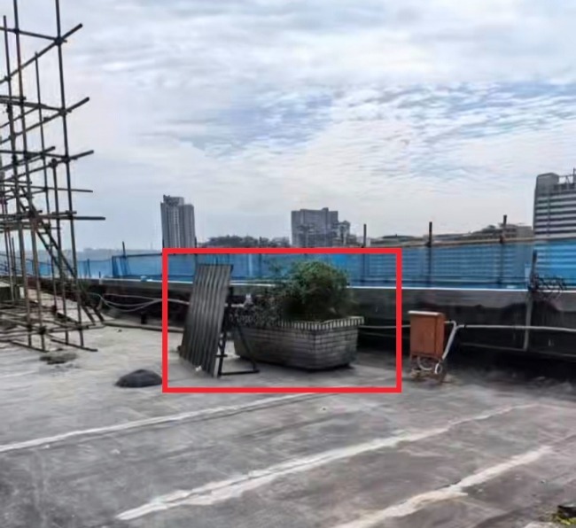 吴小萍被埋的花坛。