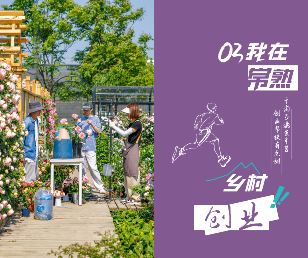 制作-常熟市青年入乡政策集成一本通12x20cm（_21.png