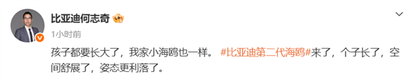 海鸥长大了!比亚迪第二代海鸥亮相:尺寸大增 姿态更利落