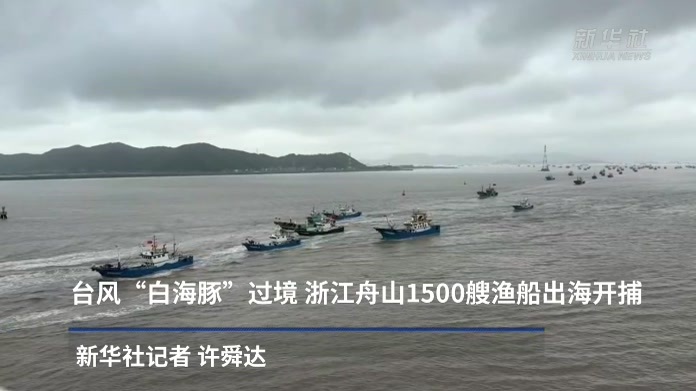 防灾减灾救灾一线见闻｜台风“白海豚”过境 浙江舟山1500艘渔船出海开捕