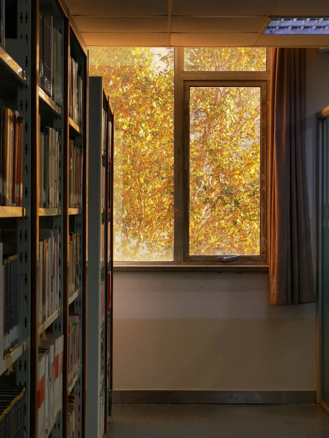 北京师范大学图书馆