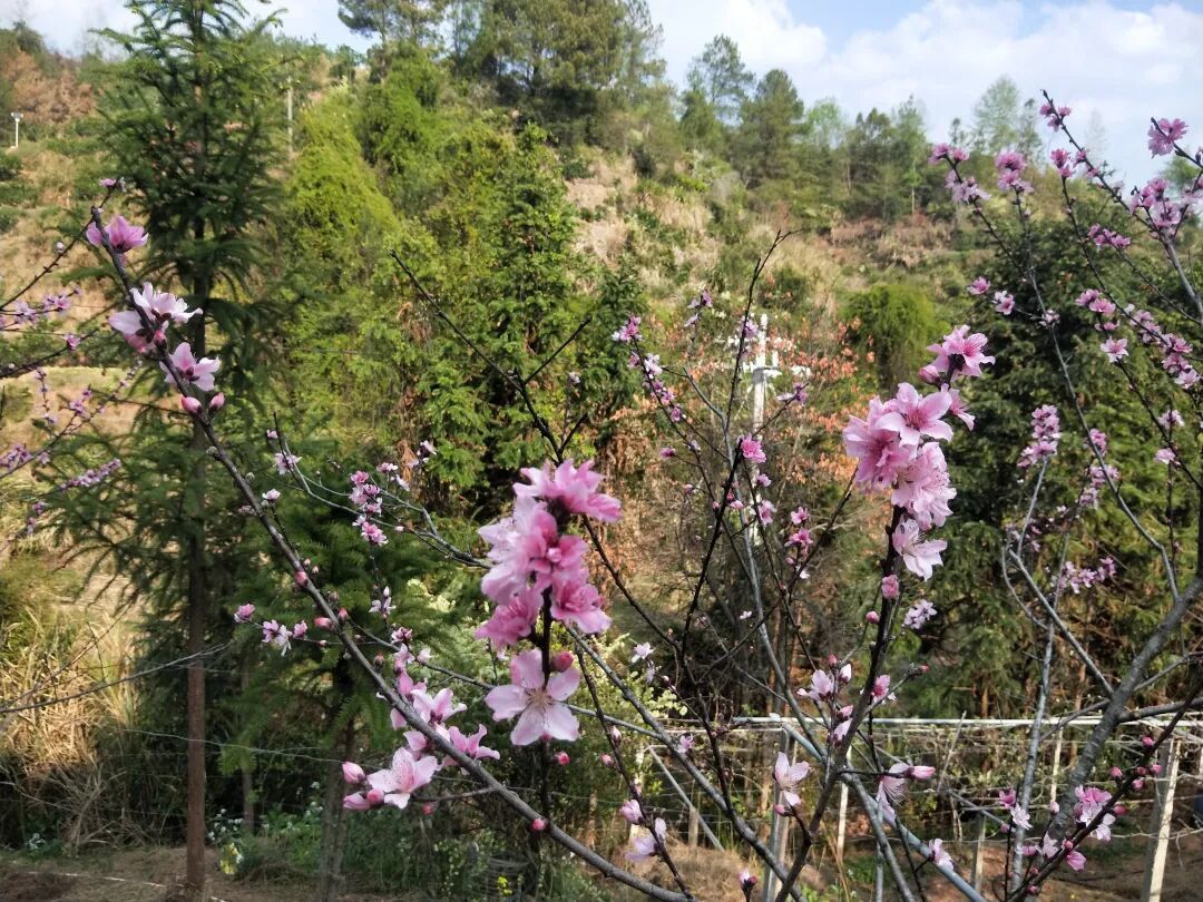 山上农场风景 | 受访者供图