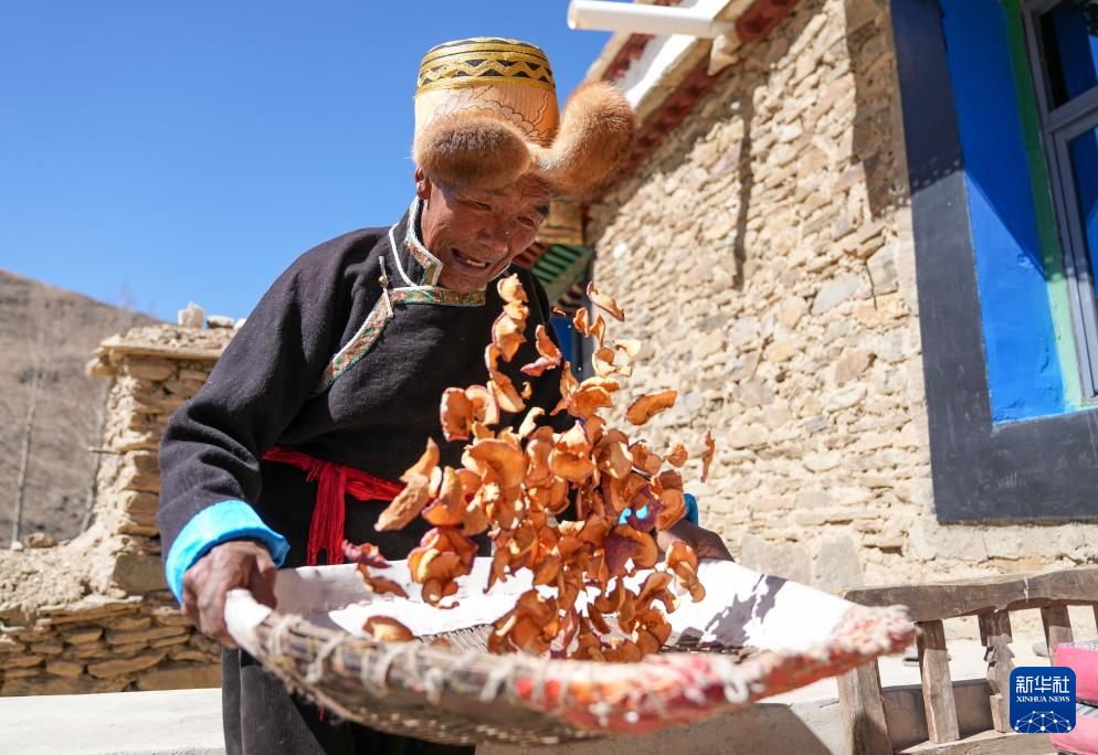 白玛扎西在家中翻晒苹果干（3月26日摄）。