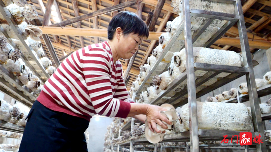 盘活闲置沉睡资产 拓宽乡村富民增收路7.png