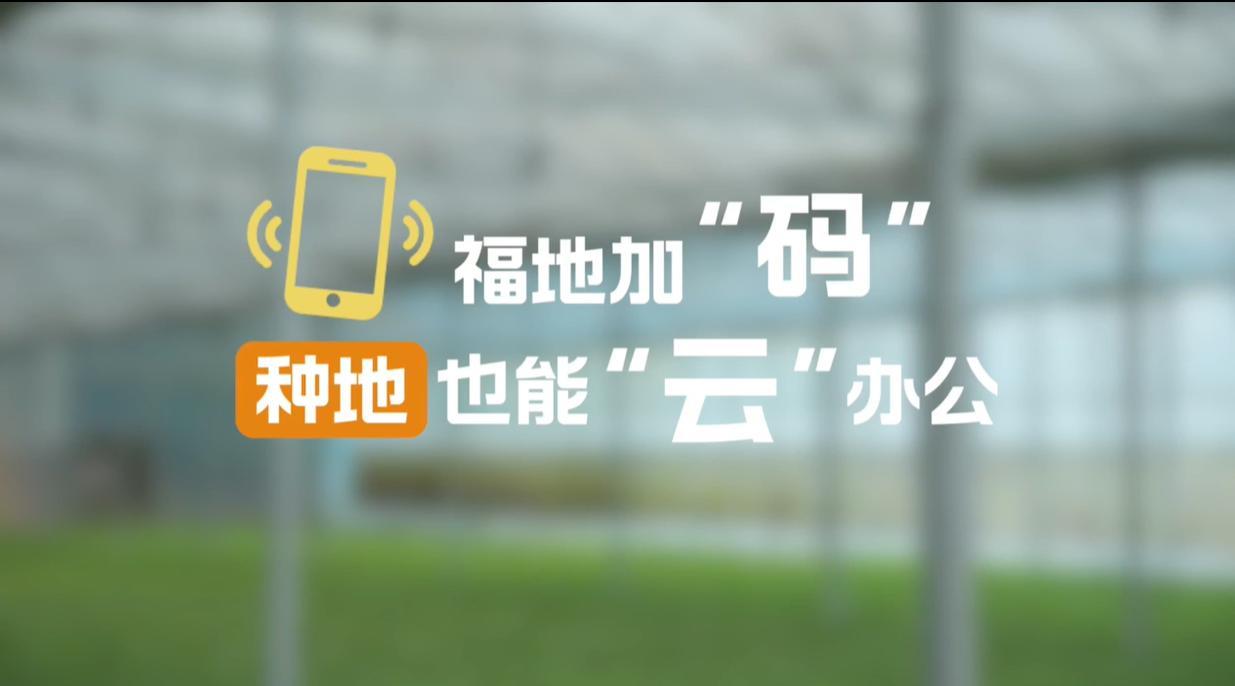 【理响中国·幸福有“理”】福地加“码”,种地也能“云”办公