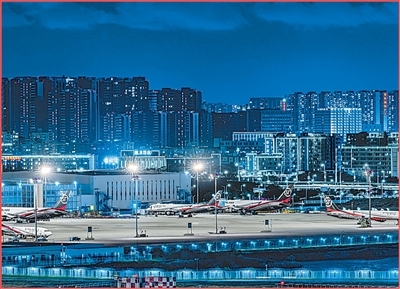 年货盈门 物阜民丰（新时代画卷）