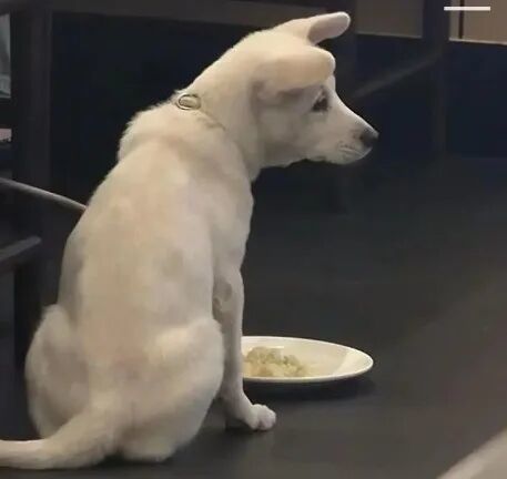 ▲长沙小菜园餐厅(图/视频截图)
