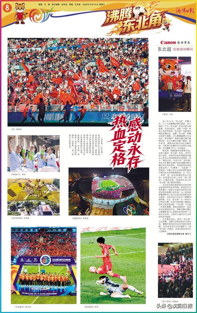 沈阳日报 2026年10月14日 8版