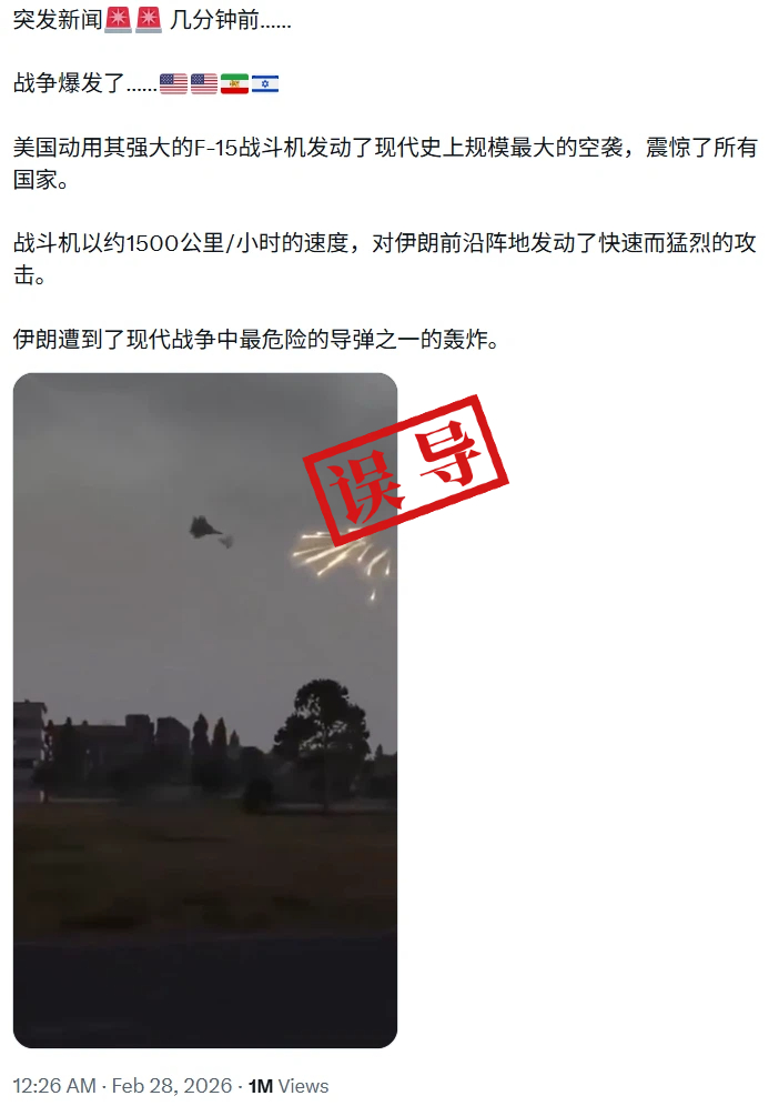 视频画面出自军事模拟游戏《武装突》