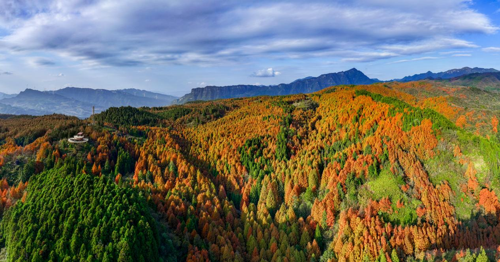 3.山王坪喀斯特国家生态公园秋色。南川区委宣传部供图