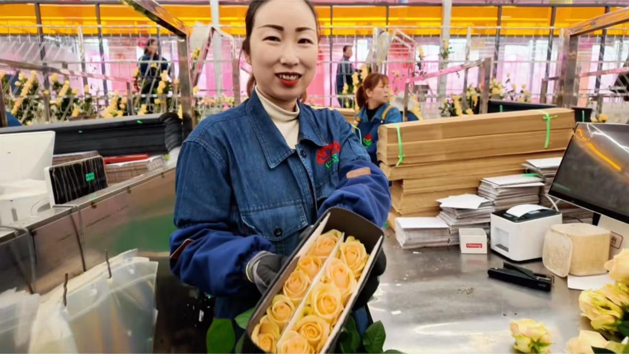 �����������չʾ�Լ����õ�õ��