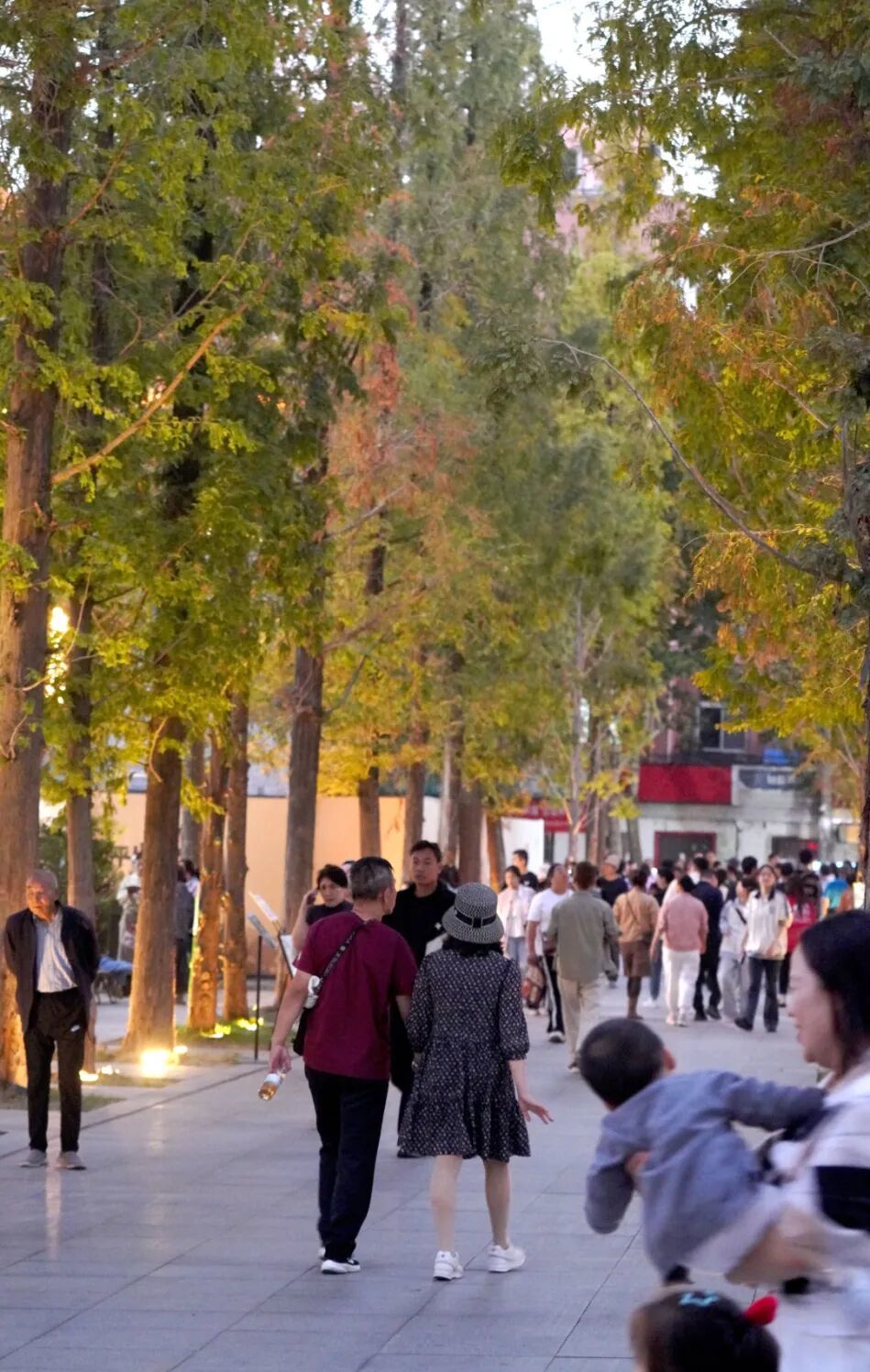 10月7日，十一黄金周的最后一天，刚刚开(10415356)-20261008152839.jpg